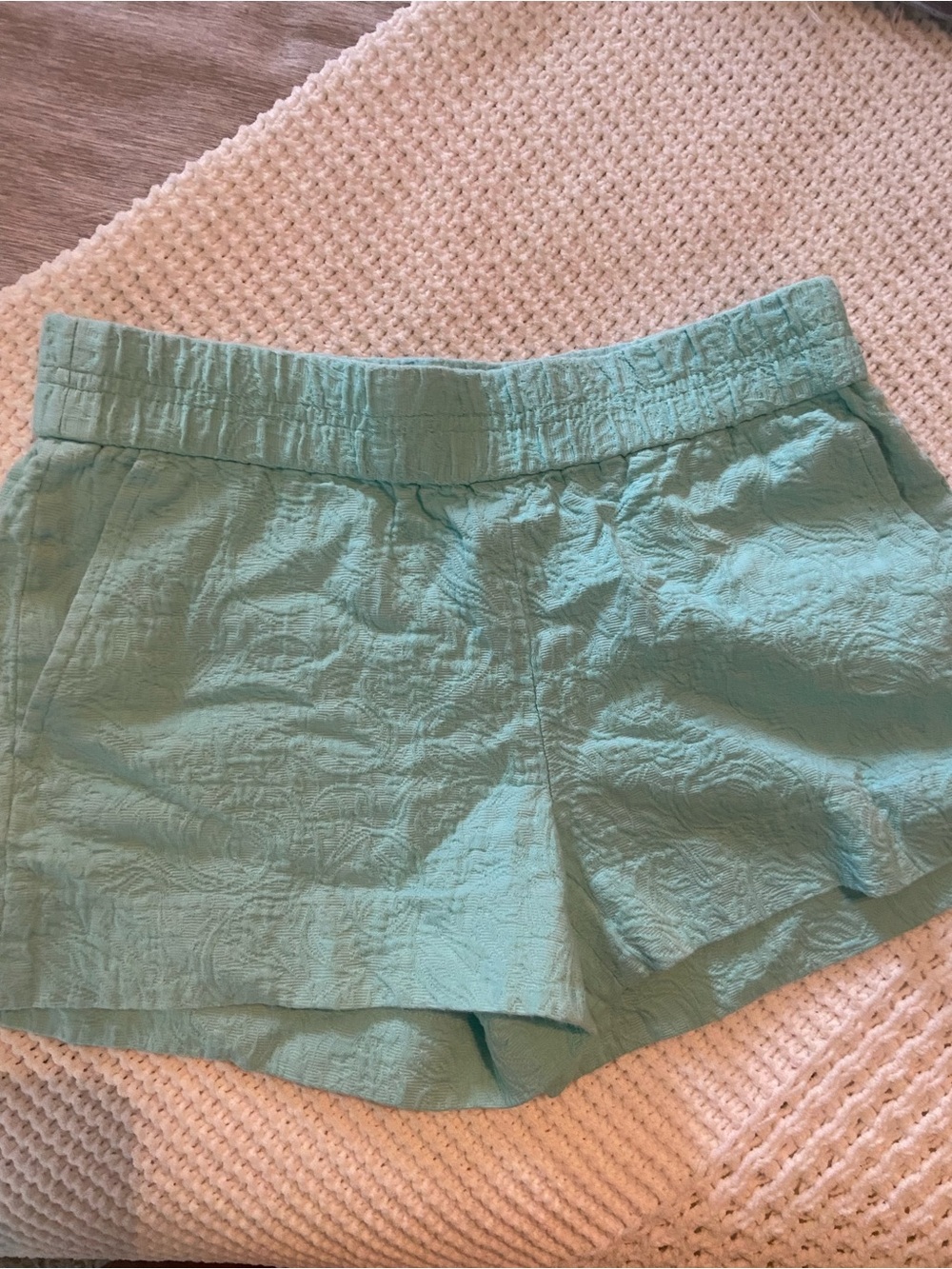 J crew Light Aqua Textured Shorts